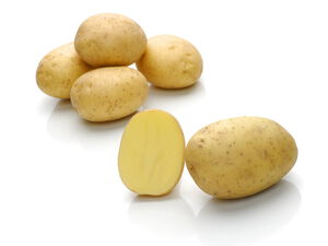 Burana